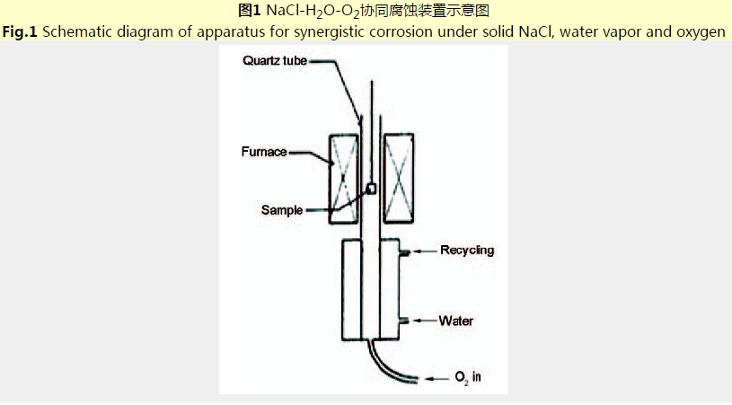 600 ℃/NaCl-H2O-O2協(xié)同環(huán)境中Ti/TiAlN多層涂層的耐蝕行為